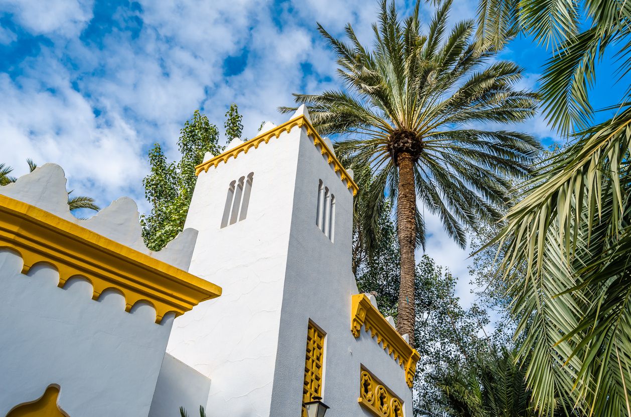 La función del palmeral hoy es eminentemente paisajística.