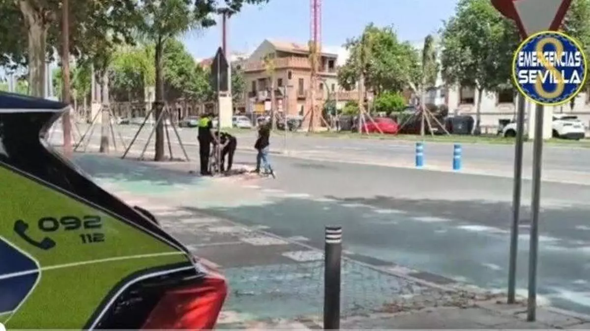 Herida grave una ciclista de 60 años tras ser atropellada por un coche en la Avenida de Torneo