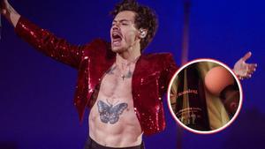 Harry Styles lanza sus juguetes sexuales.