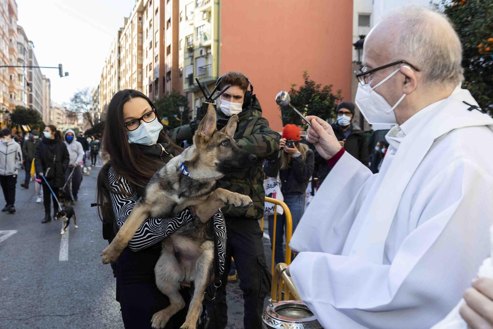 Búscate en la bendición de animales de Sant Antoni