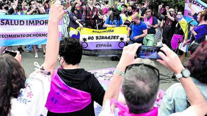 Movilización de la Federación Plataforma Trans y Euforia Familias Trans, el 15 de mayo, en Madrid.  |