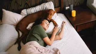 Colecho con mascotas: la última tendencia que está arrasando entre los dueños de animales