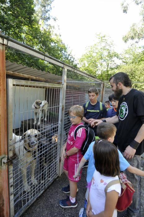 Visita de escolares a la protectora 'El Trasgu' en Mieres