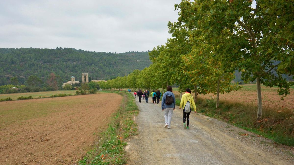 Caminada a Sant Benet de Bages en una imatge d'arxiu
