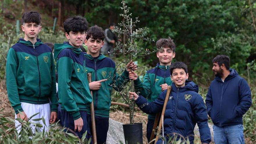 El Coruxo ayuda a reforestar Fragoselo