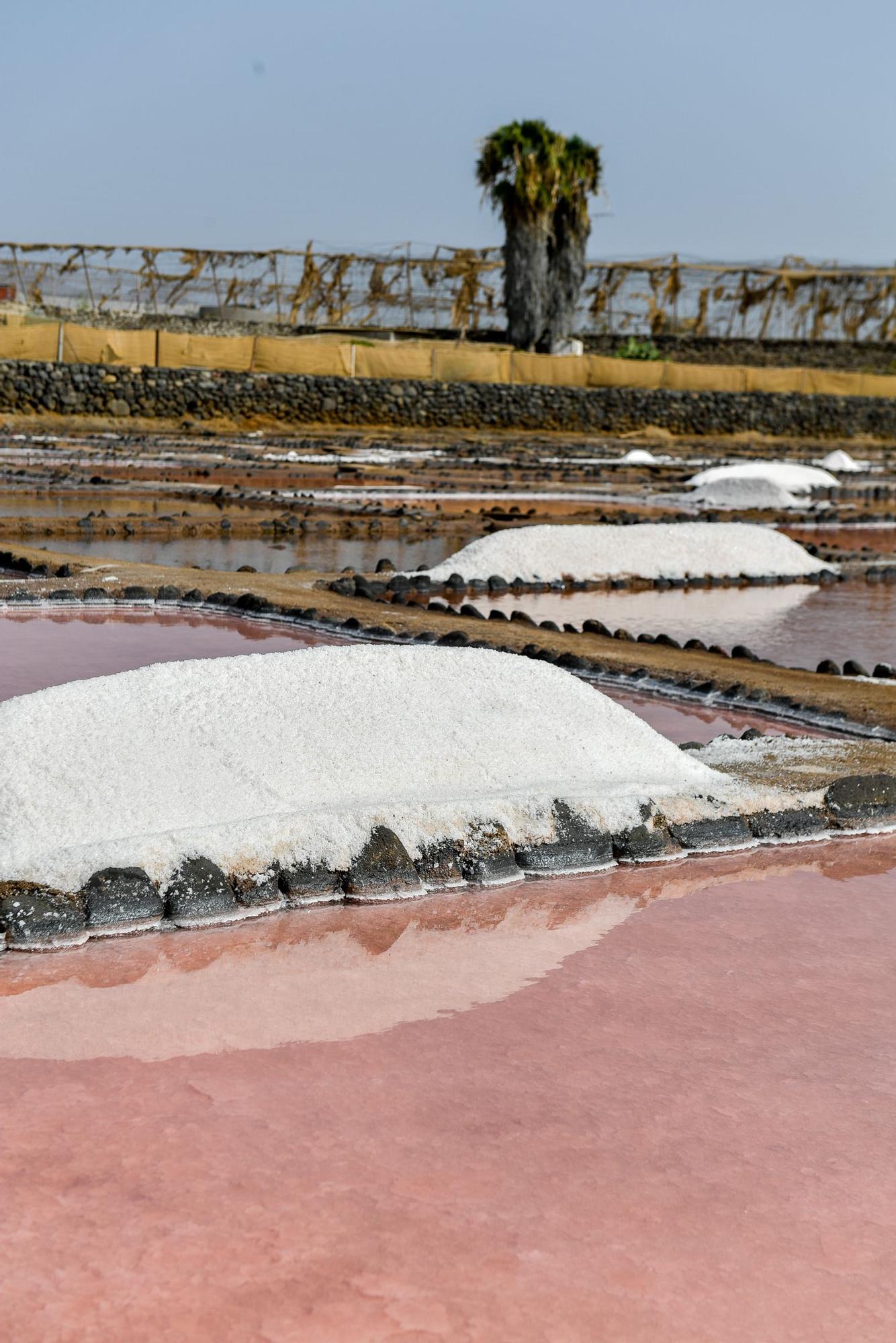 Salinas de Vargas