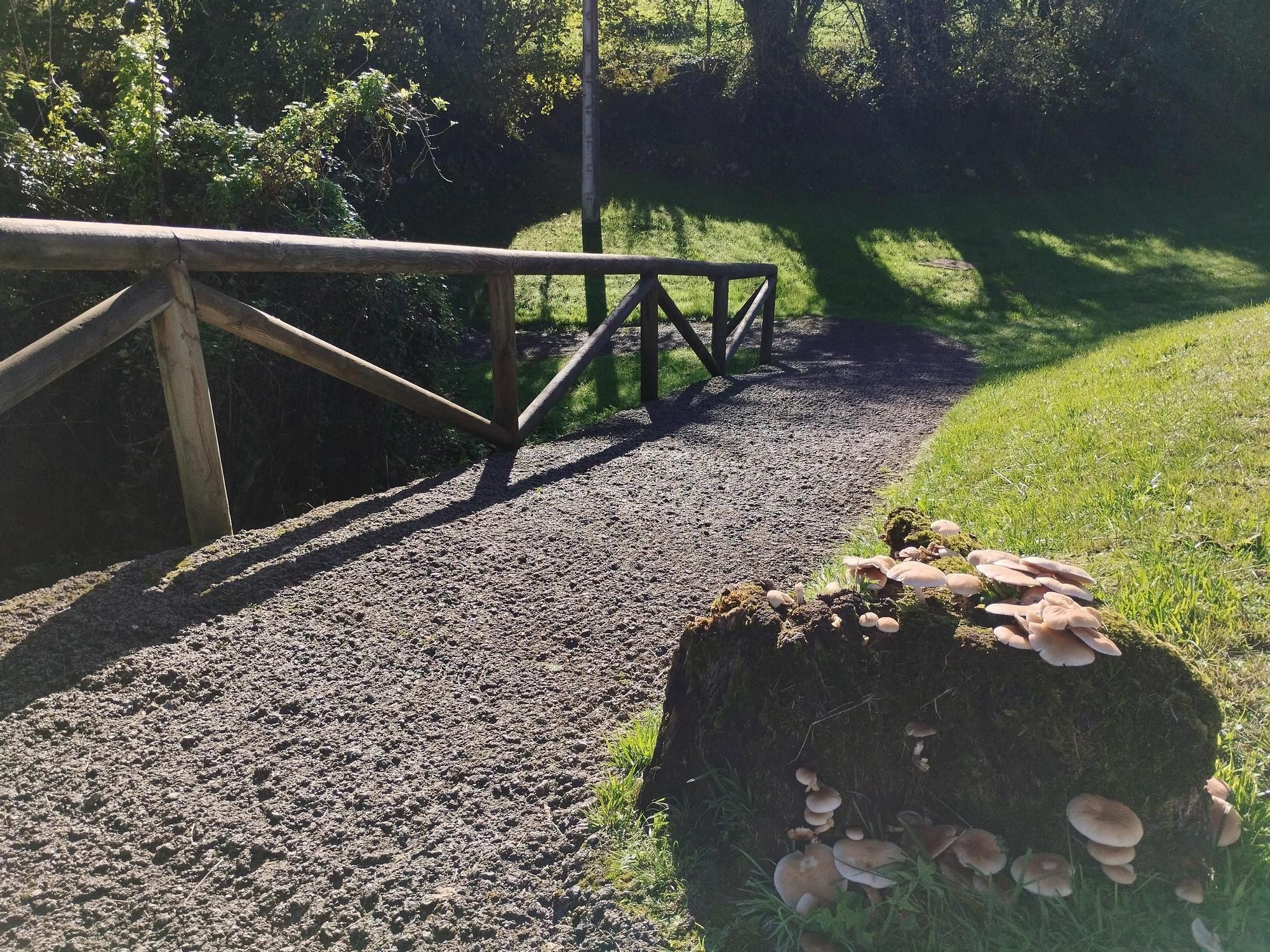 La ruta circular de Pruvia desde la urbanización de Soto de Llanera, en imágenes