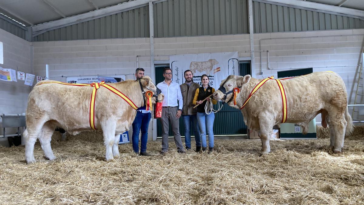 El presidente de Asociación de Criadores de Ganado Vacuno Charolés de España, Jorge Herrera, con los campeones de una pasada edición de la Feria de Albalá de 2021.