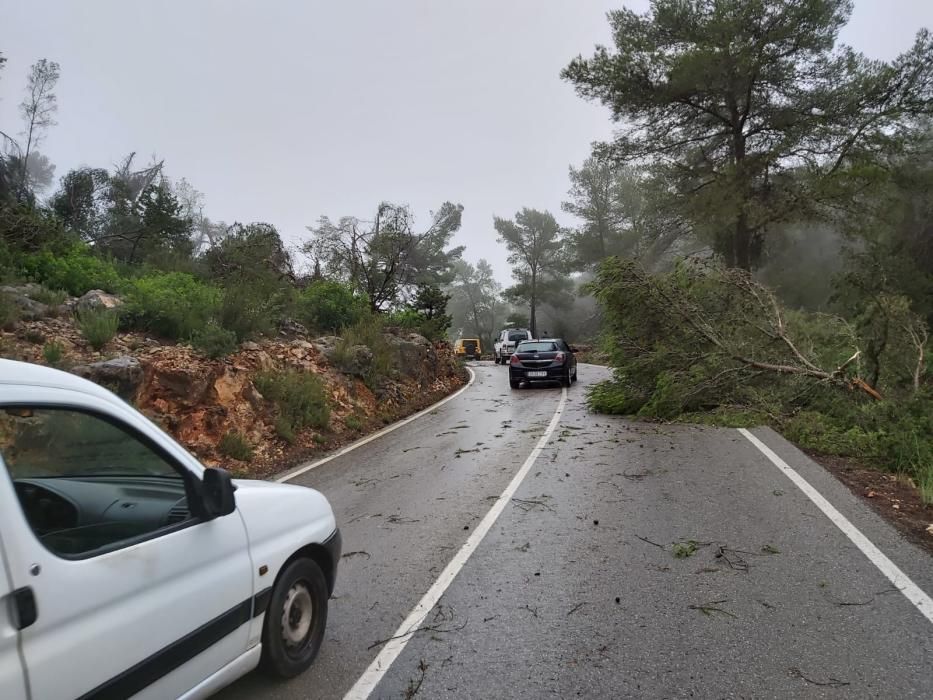 El temporal descarga sobre Ibiza y Formentera