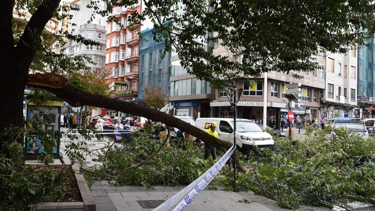 Una furgoneta dañada al caer una rama en Cuatro Caminos | VÍCTOR ECHAVE