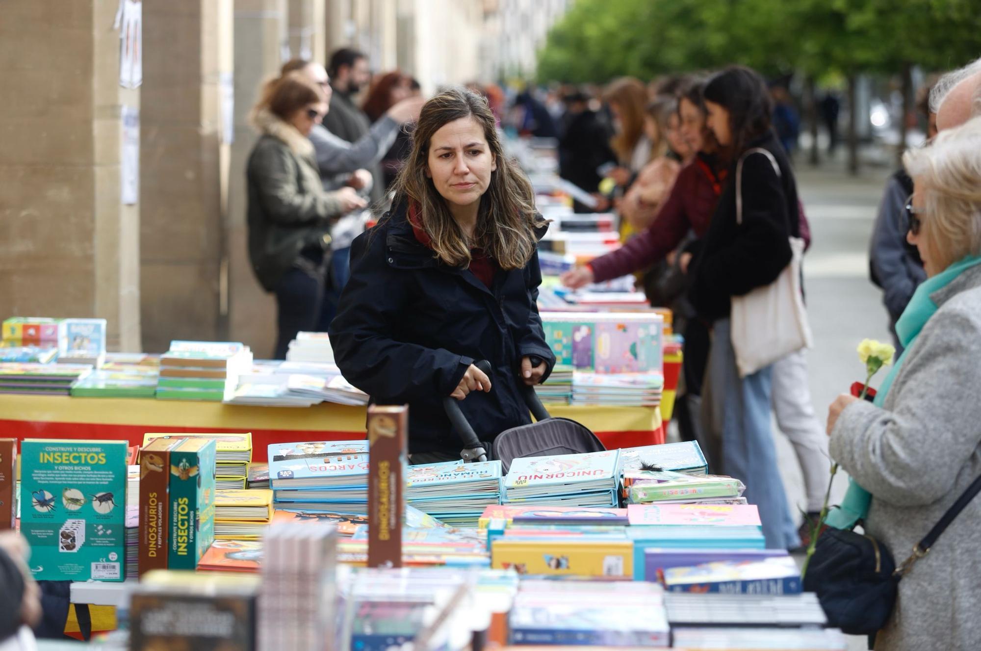 En imágenes | Miles de personas desafían al cierzo en el un Día del Libro de récord