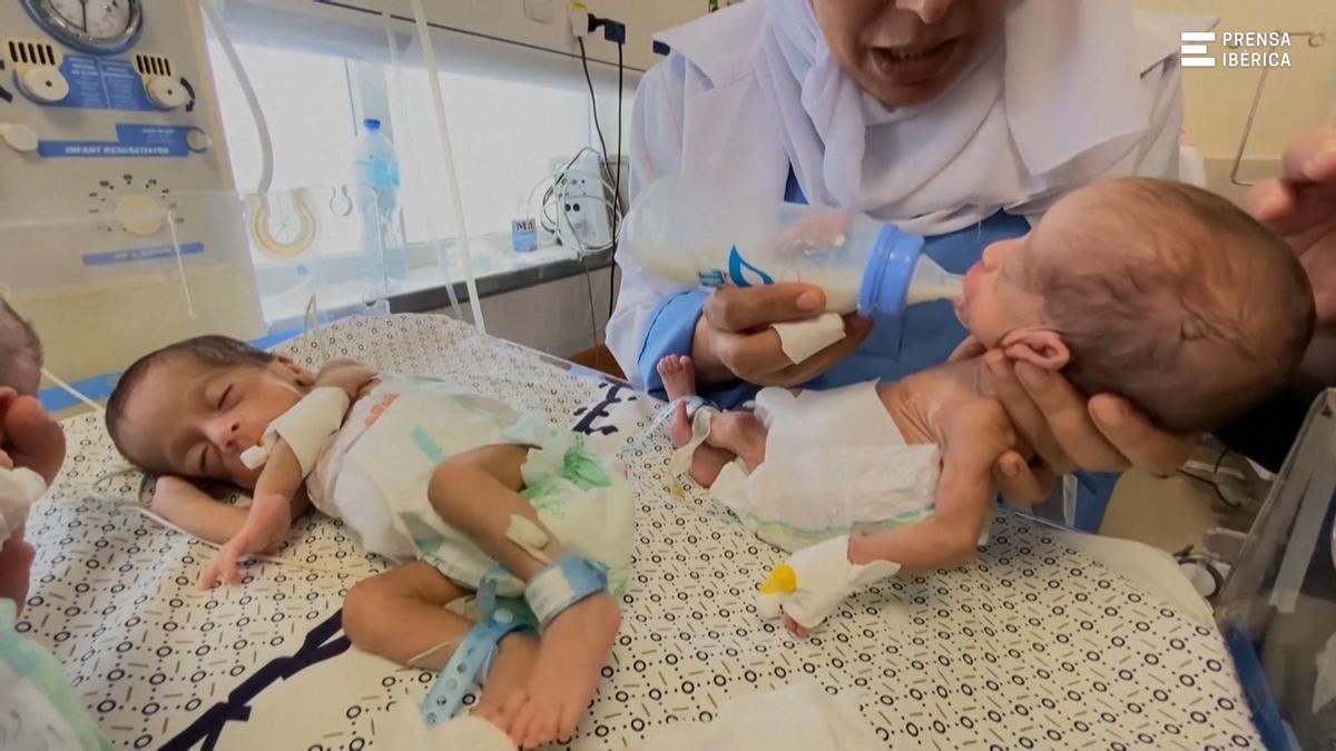 Emotivo reencuentro en Gaza: los bebés evacuados al nacer regresan con sus familias tras dos años de guerra