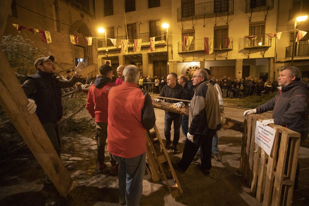 Sant Antoni arranca en Sagunt con la tradicional Plantà del Pi