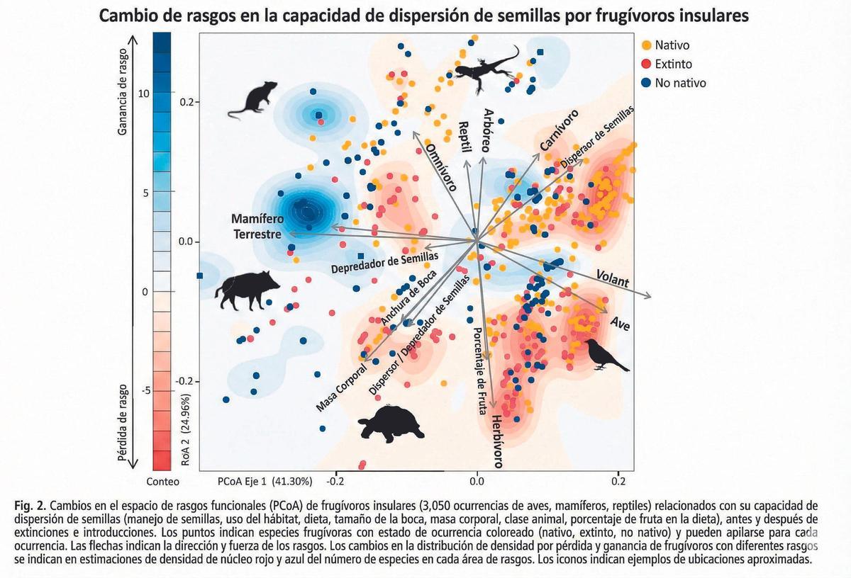 Cambio de rasgos en la capacidad de dispersión de semillas por frugívoros insulares