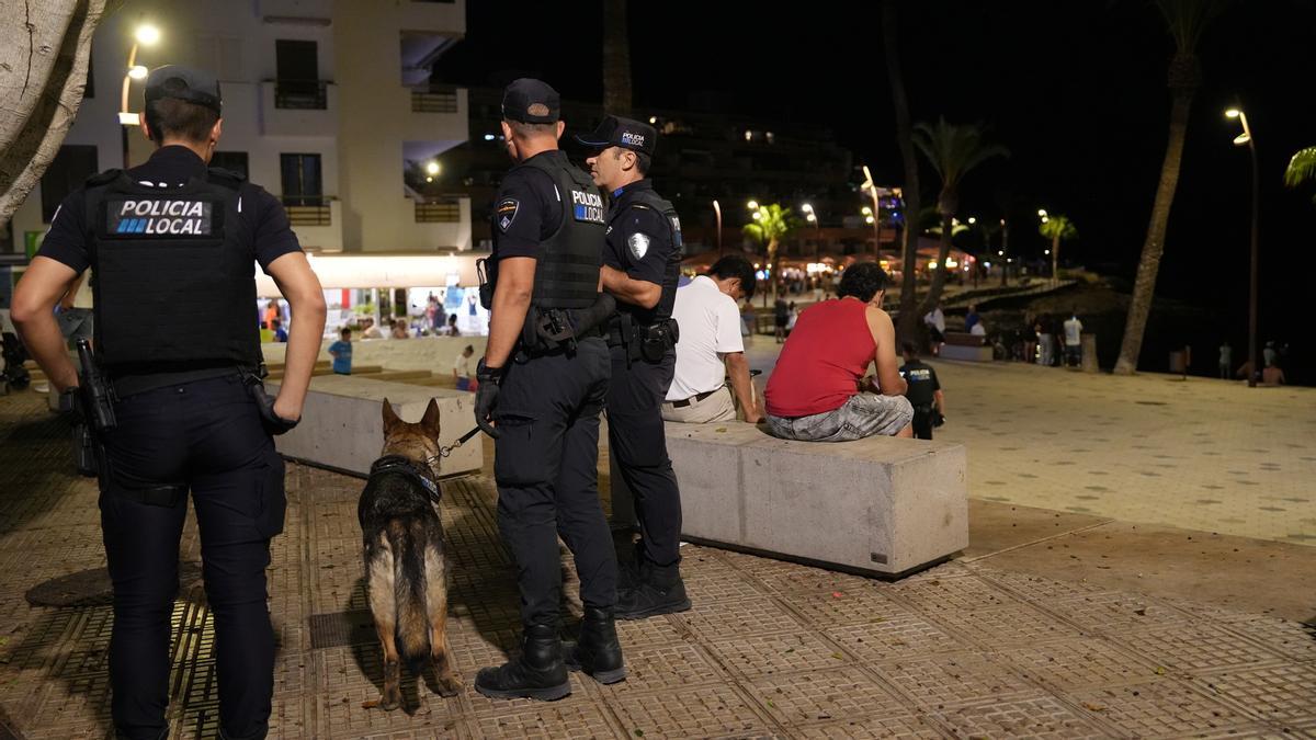 Summer, la perra antidrogas que vuelve a Ibiza este verano para luchar contra el narcotráfico