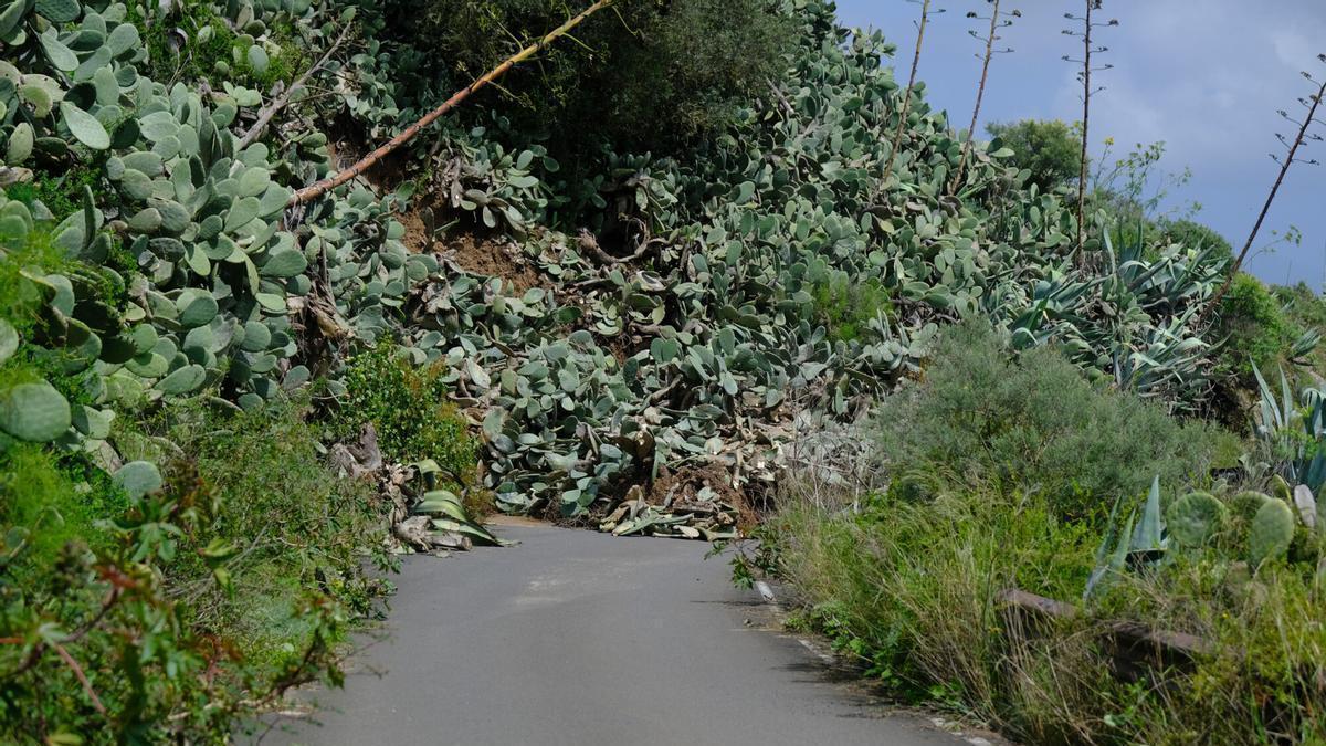 La borrasca Therese ha provocado el corte de la carretera en Lomo La Vizcaína