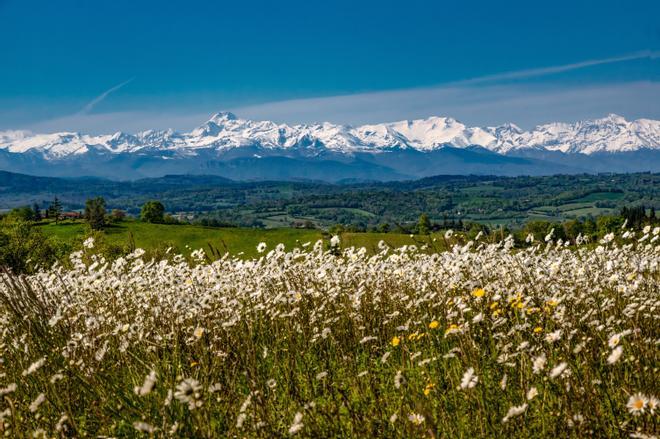 Haute-Garonne