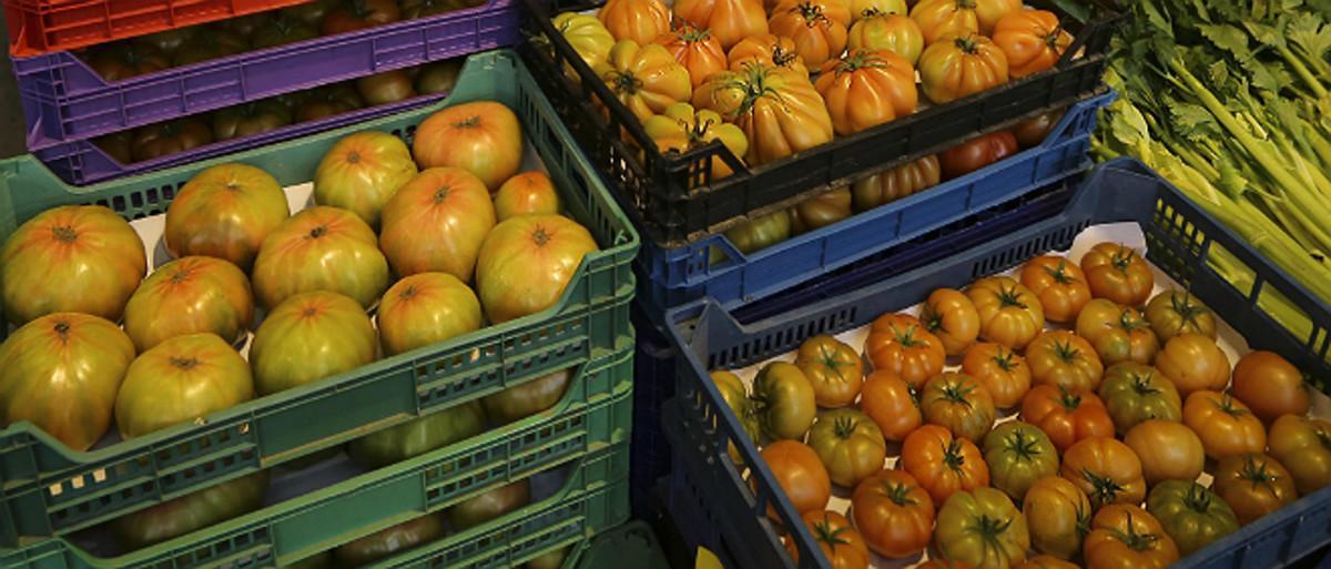 Verduras en Mercabarna.