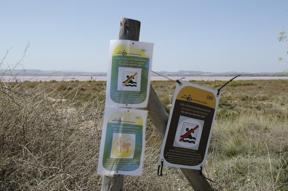 La salinera quiere evitar problemas de seguridad y vertido de residuos en las aguas de la laguna de Torrevieja y recuerda que el baño está prohibido, con nueva cartelería con el logo del Parque Natura