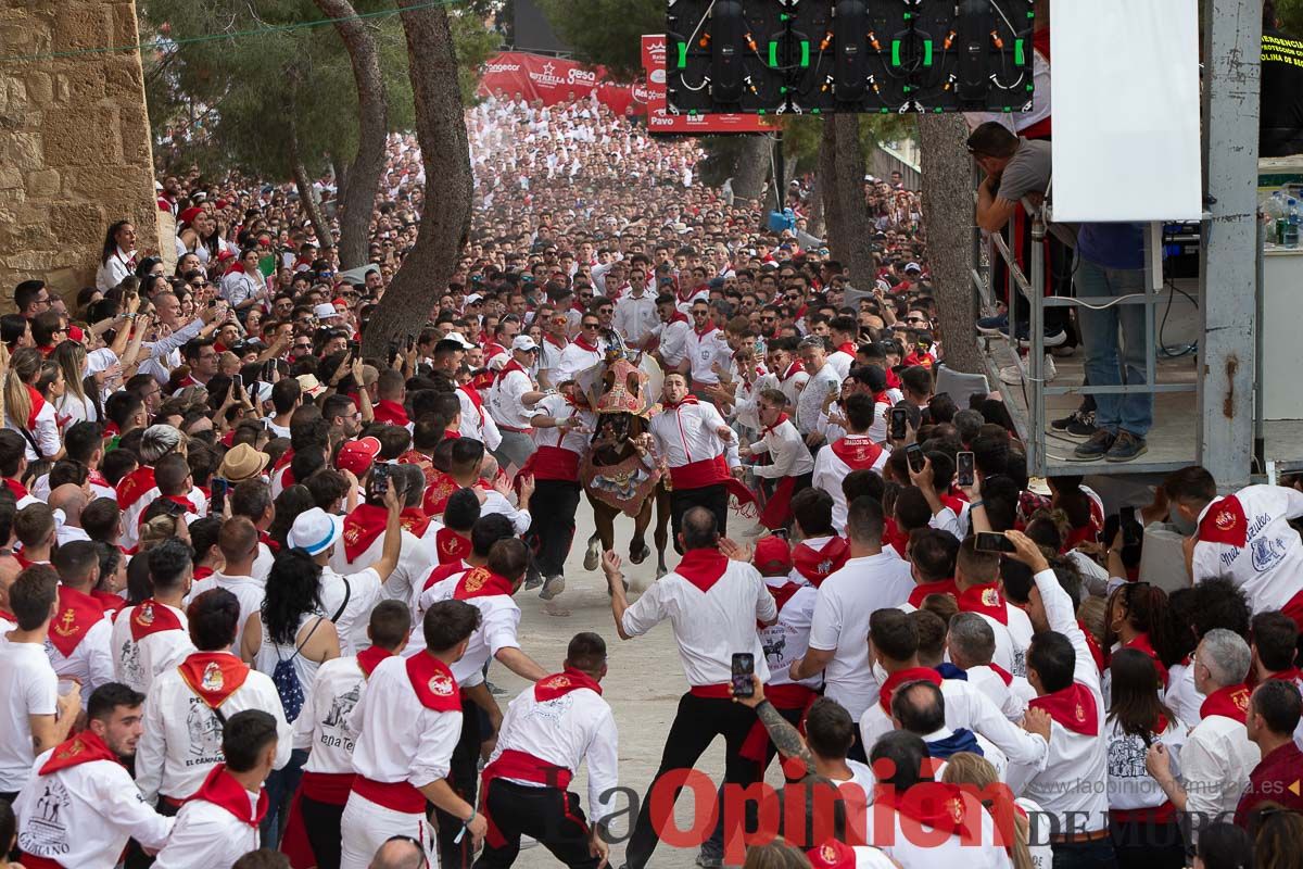 Así ha sido la carrera de los Caballos del Vino en Caravaca