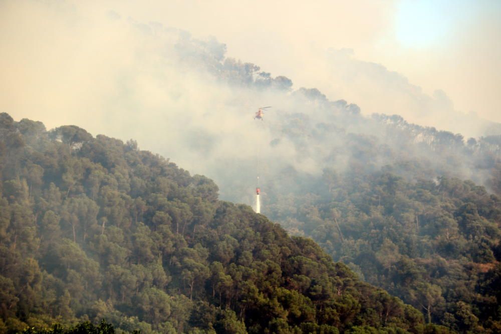 Incendi forestal de Capellades