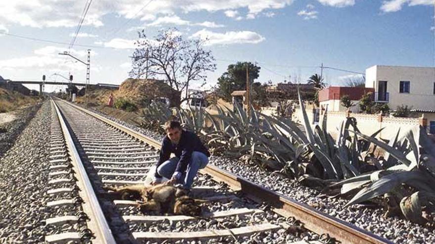 Están apareciendo perros atados a las vías del tren