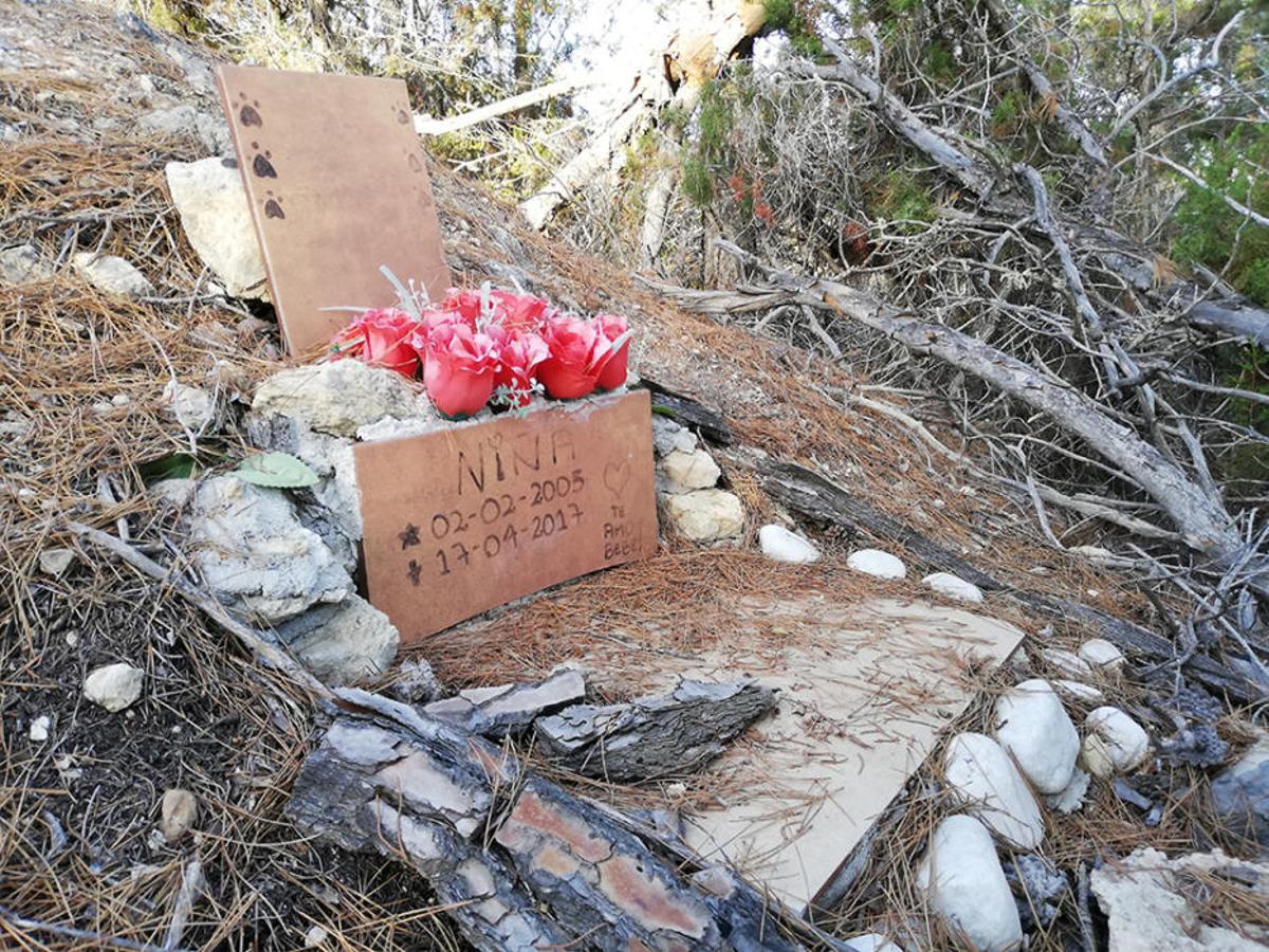 Algunas de las tumbas caninas que existen en sa Talaia de Sant Antoni.