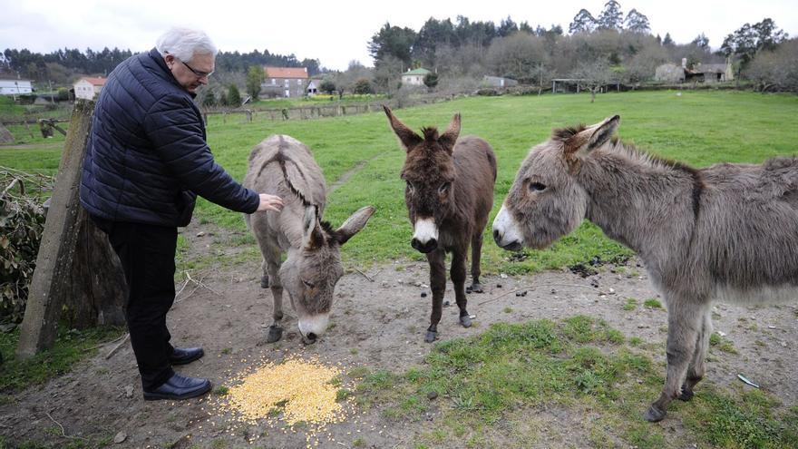 José Antonio Ortigueira, junto a Paca, Paquita y Paquito, ayer, en Matalobos.   | // BERNABÉ/JAVIER LALÍN