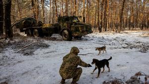 A serviceman of Ukraine’s 45th separate artillery brigade feeds a stray dog near a Swedish-made Archer self-propelled howitzer system in a forest in the Donetsk region