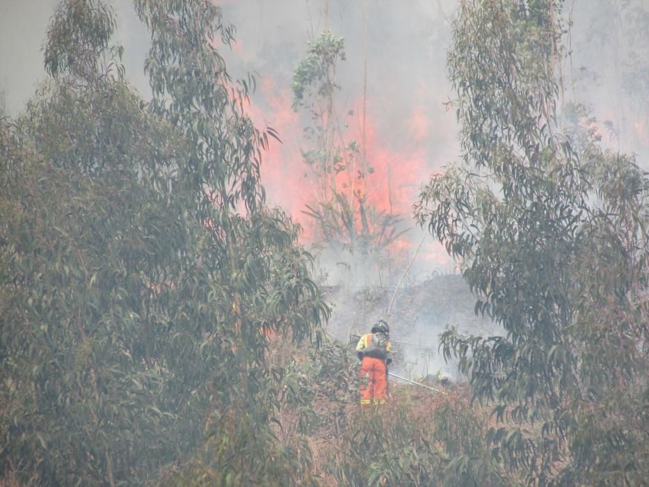 Incendio en la zona de Llanes