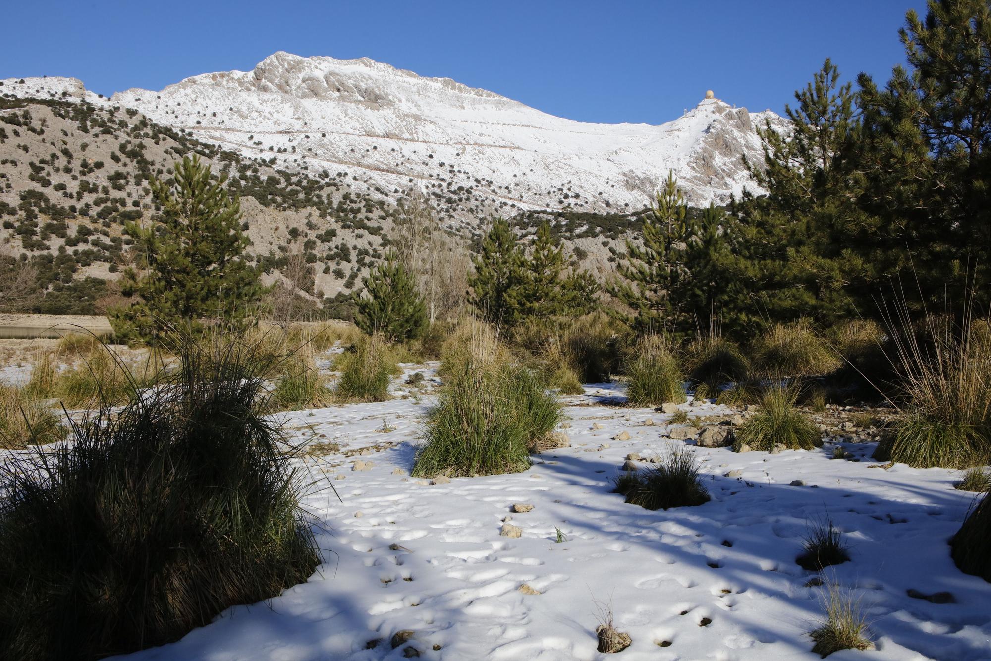 Schnee in der Tramuntana - Wanderung am Stausee Cúber auf Mallorca