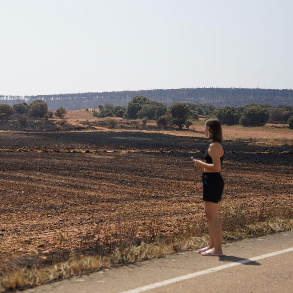 "És un desert de cendra"
