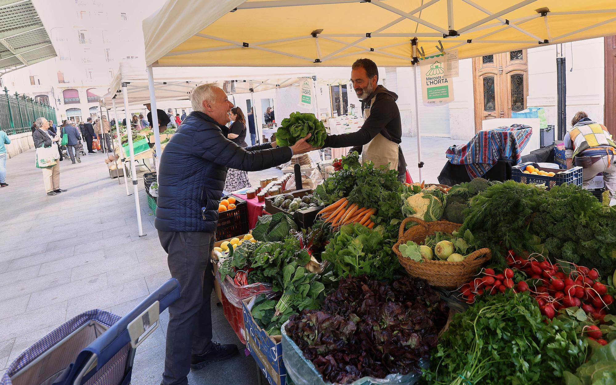 Mercadillo de frutas y verduras de huerta junto al mercado de Colón