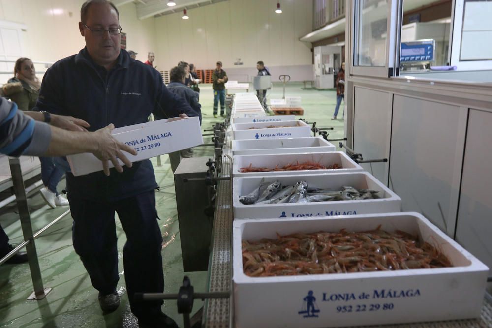 Tan solo cinco compradores y un barco se encargan de llevar el marisco y el pescado de arrastre cada día a la mesa de los malagueños donde la merluza y las gambas son las grandes protagonistas.