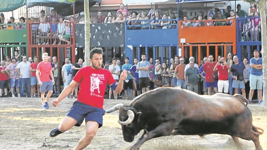 Moró bate su récord en fiestas y exhibirá nueve toros cerriles