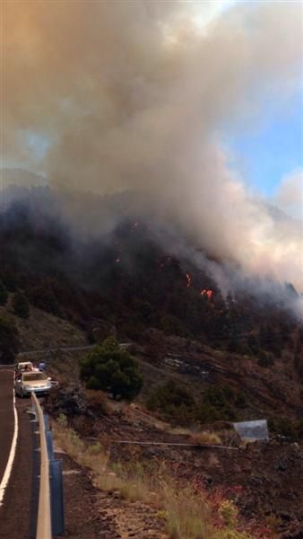 Incendio forestal en la zona de Montaña de Jedey