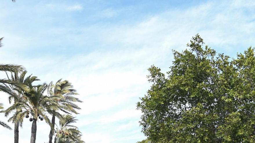 La UMH renovará su acceso más antiguo al campus de Elche desde la Estación de Autobuses