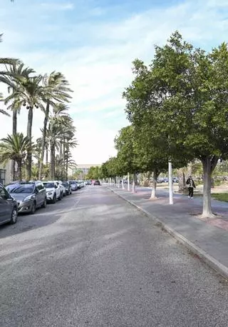 La UMH renovará su acceso más antiguo al campus de Elche desde la Estación de Autobuses