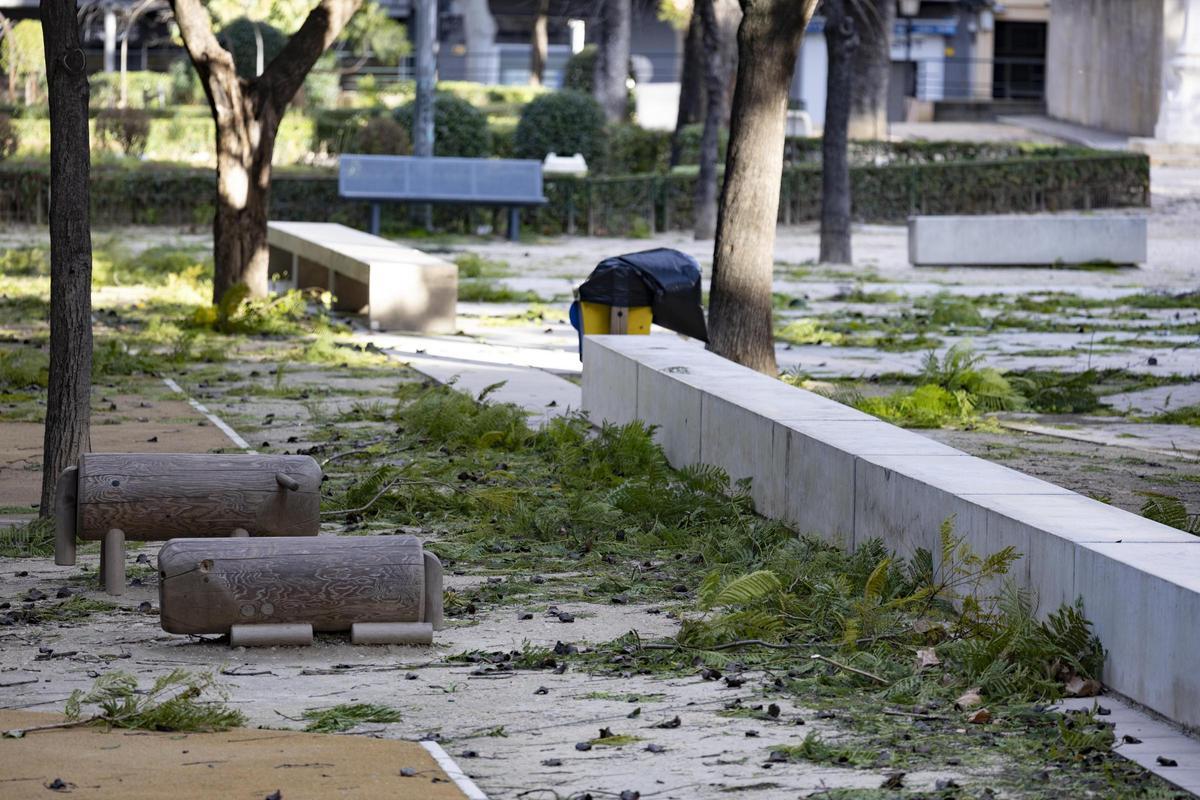 El temporal asociado a la borrasca Kristin ha dejado imágenes de impacto en Xàtiva, las rachas de viento han alcanzado niveles huracanados