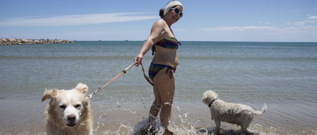 Playa canina en Pinedo.