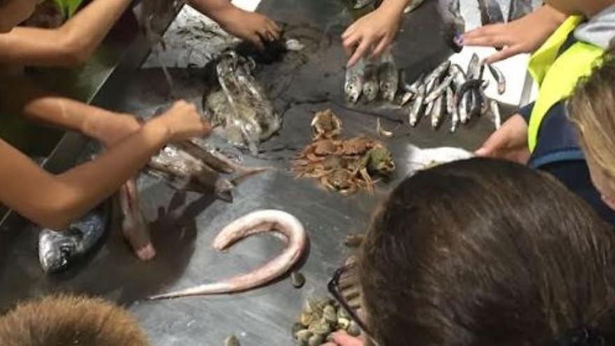 Mercamálaga retoma programa de visitas escolares y jornadas en colegios para difundir hábitos de alimentación