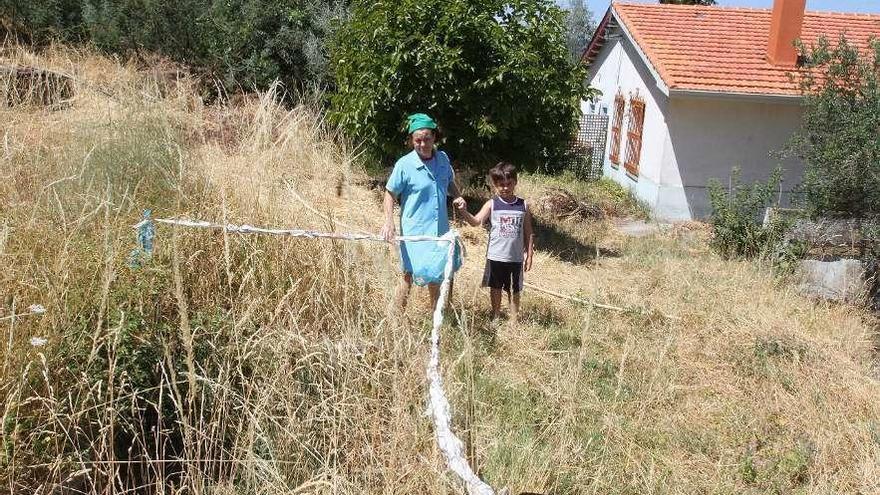 Finca sin limpiar en una zona del rural gallego. // I.Osorio