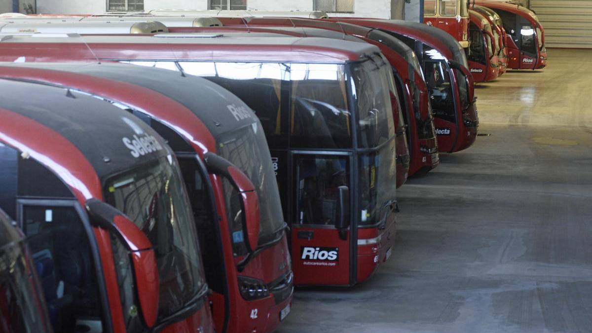 El transporte escolar advierte de que no podrán prestar el servicio en diciembre