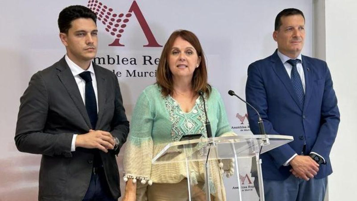 Diputados socialistas atienden a los medios, este viernes