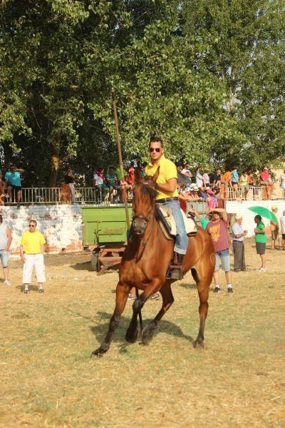 Fiestas en Zamora: Encierro y toros en Villamor