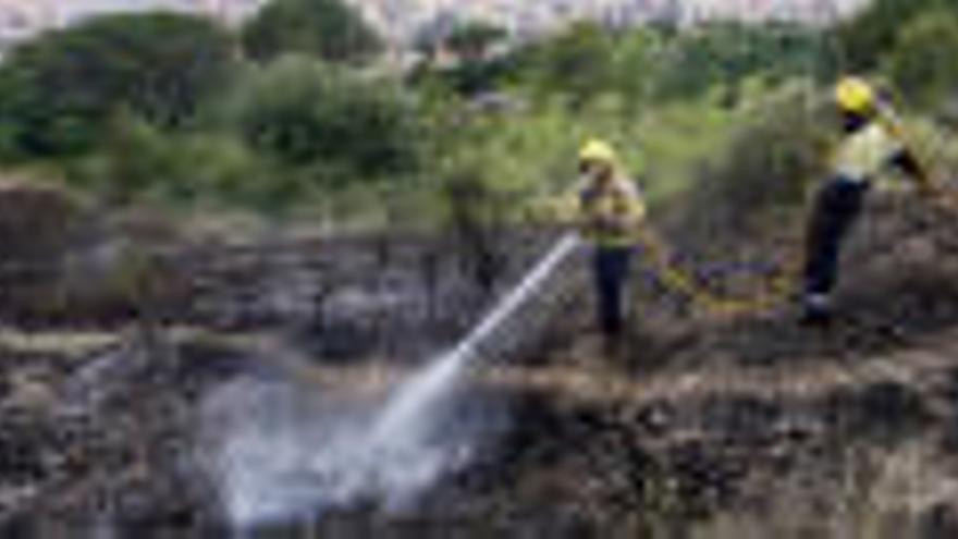 Un incendi a les Pedreres reviu el temor dels veïns a un foc com el que van patir fa tres anys