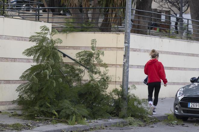 Así ha sido el paso de la borrasca Kristin en Xàtiva