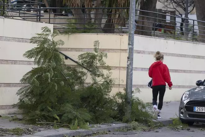 Así ha sido el paso de la borrasca Kristin en Xàtiva