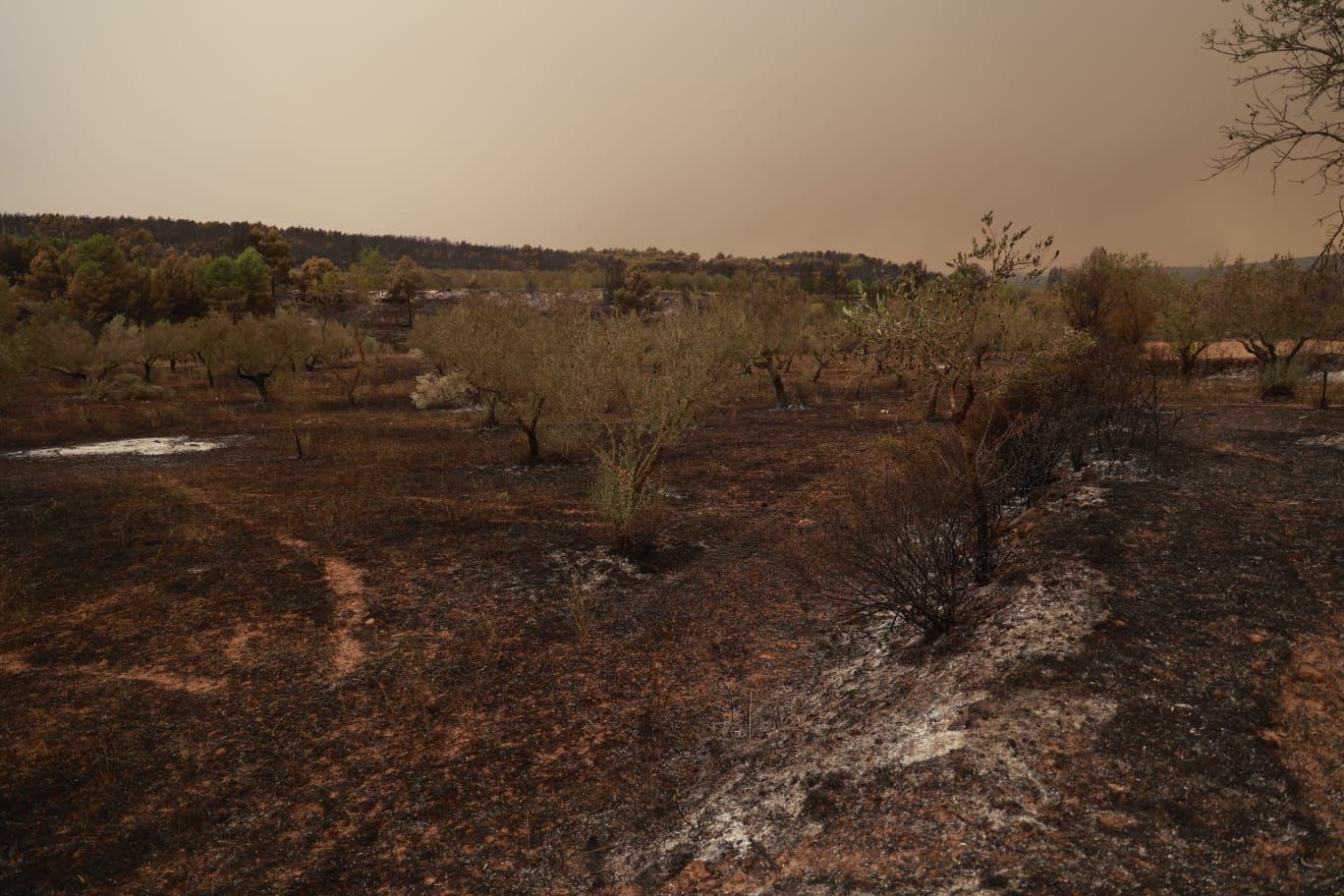 El incendio de Bejís, en imágenes