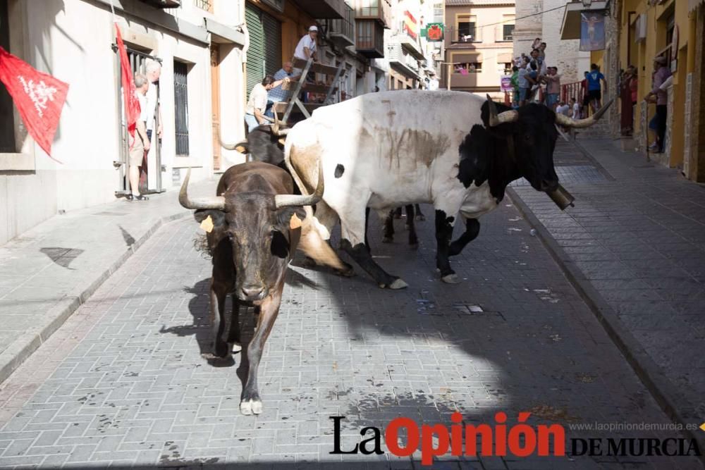 Primer encierro Moratalla